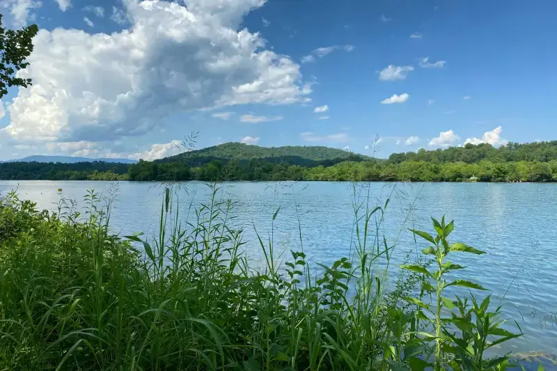 Lake shoreline with tall grass and wooded hills beyond